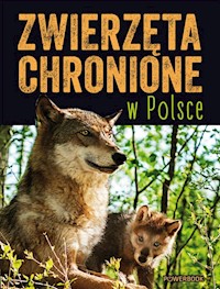 Zwierzęta chronione w Polsce - Weber Sylwia - książka