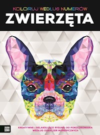 Koloruj według numerów - zbiorowa praca - książka