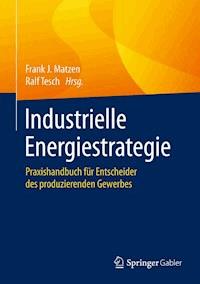 Industrielle Energiestrategie -  - ebook