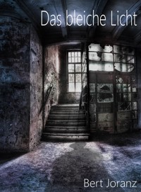 Das bleiche Licht - Bert Joranz - ebook