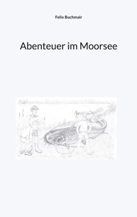 Abenteuer im Moorsee - Felix Buchmair - ebook