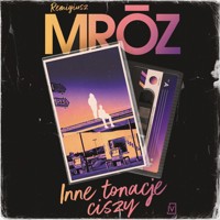 Inne tonacje ciszy - Remigiusz Mróz - ebook + audiobook + książka