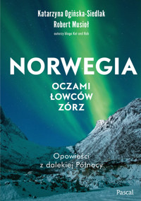 Norwegia oczami łowców zórz - Katarzyna Ogińska-Siedlak, Robert Musio - książka