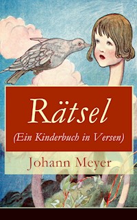 Rätsel (Ein Kinderbuch in Versen) - Johann Meyer - ebook