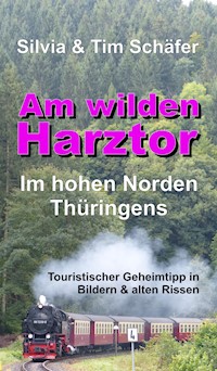 Am wilden Harztor: Im hohen Norden Thüringens - Silvia Schäfer - ebook