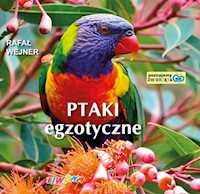 Poznajemy zwierzęta Ptaki egzotyczne - Wejner Rafał - książka