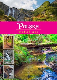 Polska wokół nas - Wilder Joanna - książka