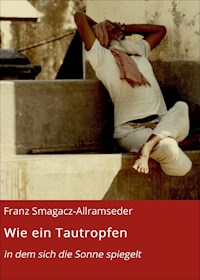 Wie ein Tautropfen - Franz Smagacz-Allramseder - ebook