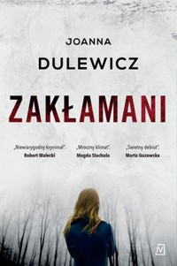 Zakłamani - Joanna Dulewicz - książka