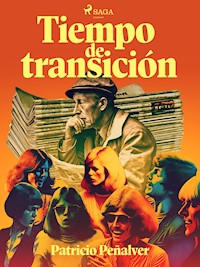 Tiempo de transición - Patricio Peñalver - ebook