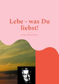Lebe - was Du liebst! - Hans-Juergen Quass-Meurer - ebook