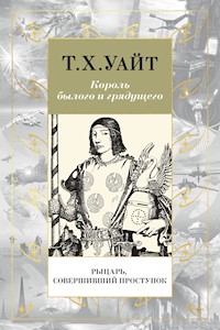 Рыцарь, Совершивший Проступок - Т. Х. Уайт - ebook
