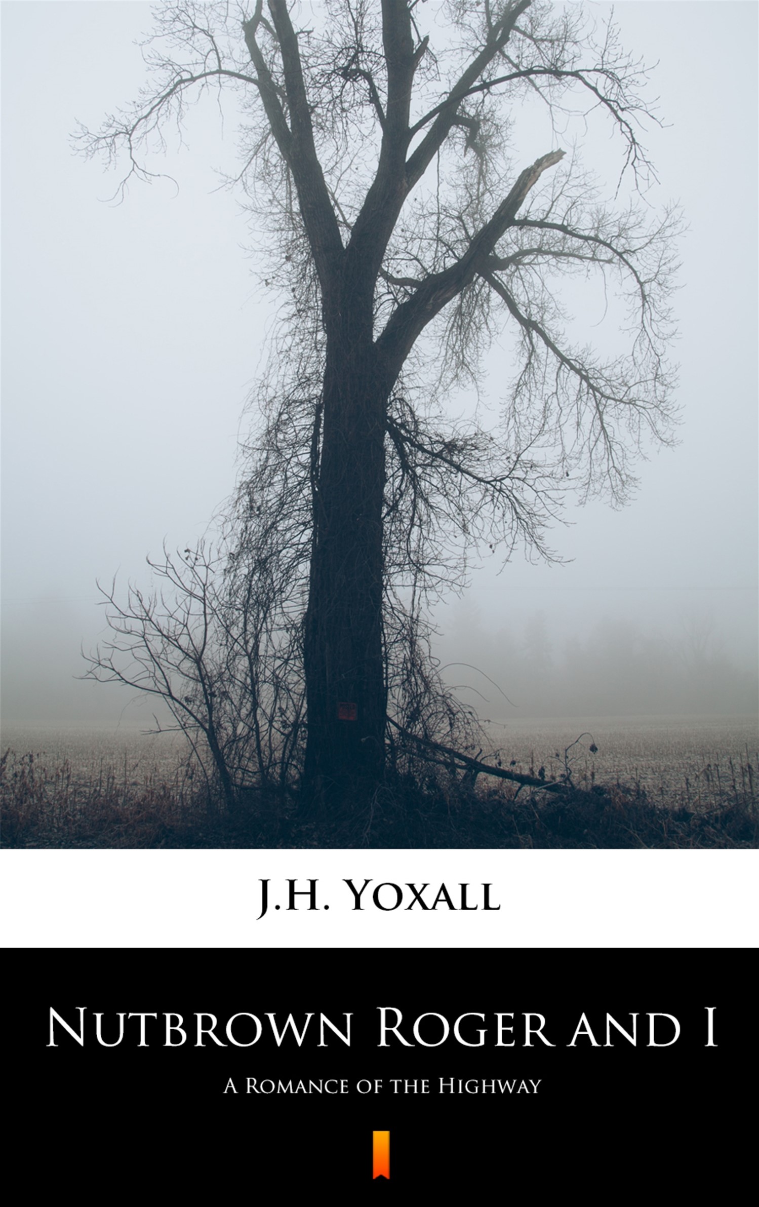 Nutbrown Roger and I. A Romance of the Highway