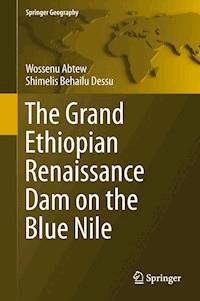 The Grand Ethiopian Renaissance Dam on the Blue Nile - Wossenu Abtew - ebook