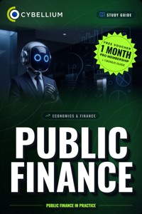 Public Finance - Cybellium - ebook