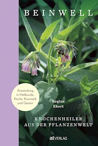 Beinwell - Regine Ebert - ebook