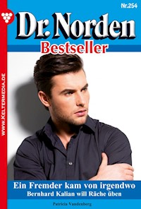 Ein Fremder kam von irgendwo - Vandenberg Patricia - ebook