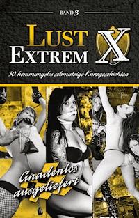 Lust Extrem 3: Gnadenlos ausgeliefert - Ina Stein - ebook