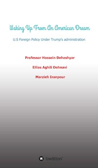Waking Up From An American Dream - Ellias Aghili Dehnavi - ebook