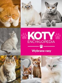 Koty wybrane rasy Encyklopedia - Małgorzata Młynek - książka