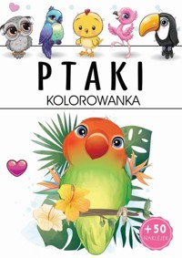 Ptaki Kolorowanka -  - książka
