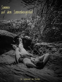 Sommer auf dem Sonnenbergerhof - Thorsten Dürholt - ebook