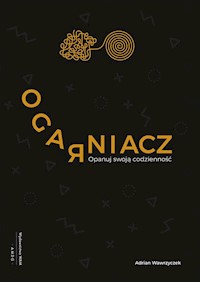 Ogarniacz - Wawrzyczek Adrian - książka