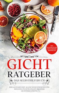 Gicht Ratgeber - Das Selbsthilfebuch - Markus Dahlmann - ebook