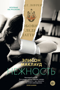 Нежность - Элисон Маклауд - ebook