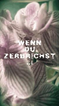 Wenn du zerbrichst - Franziska Wild - ebook
