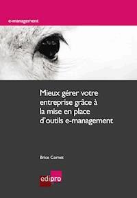 Mieux gérer votre entreprise grâce à la mise en place d'outils e-management - Brice Cornet - ebook