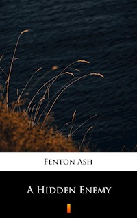 A Hidden Enemy - Fenton Ash - ebook