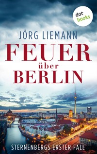 Feuer über Berlin - Sternenbergs erster Fall - Jörg Liemann - ebook