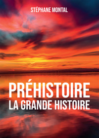 Préhistoire, la grande Histoire - Stéphane Montal - ebook