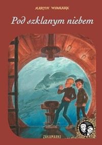 Pod szklanym niebem. Seria Dawid i Larisa - Martin Widmark - książka