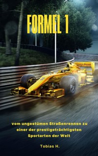 Formel 1 - Tobias Hopfmüller - ebook