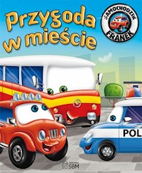 Samochodzik Franek Przygoda w mieście - Elżbieta Wójcik - książka