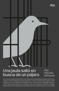 Una jaula salió en busca de un pájaro - Ali Smith - ebook