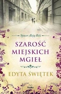Szarość miejskich mgieł - Edyta Świętek - książka