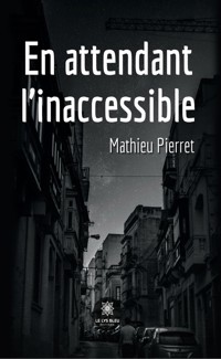 En attendant l’inaccessible - Mathieu Pierret - ebook