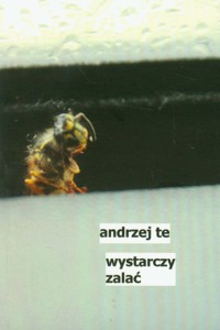 Wystarczy zalać - Te Andrzej - książka