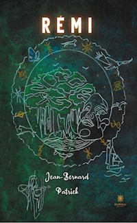 Rémi - Jean-Bernard Patrick - ebook