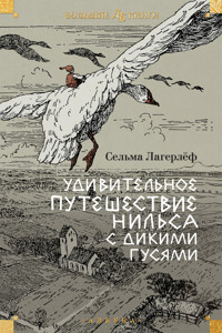 Удивительное путешествие Нильса с дикими гусями - Сельма Лагерлёф - ebook