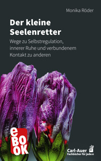 Der kleine Seelenretter - Monika Röder - ebook