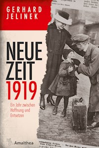 Neue Zeit 1919 - Gerhard Jelinek - ebook