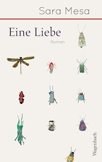 Eine Liebe - Sara Mesa - ebook