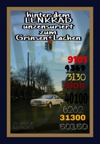 hinter dem LENKRAD - RAYMONDi - ebook