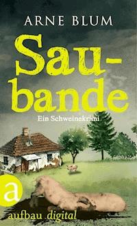 Saubande - Arne Blum - ebook