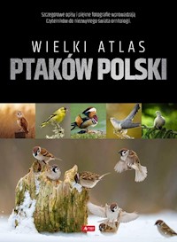 Wielki atlas ptaków Polski -  - książka