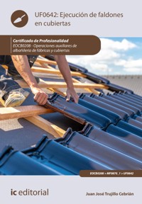 Ejecución de faldones en cubiertas. EOCB0208 - Juan José Trujillo Cebrián - ebook